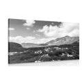 CANVAS PRINT VALLEY IN MONTENEGRO IN BLACK AND WHITE - BLACK AND WHITE PICTURES - PICTURES