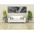 CANVAS PRINT ICONIC WATERFALL IN ICELAND IN BLACK AND WHITE - BLACK AND WHITE PICTURES - PICTURES