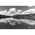 WALL MURAL BLACK AND WHITE LAKE IN SUMMER - BLACK AND WHITE WALLPAPERS - WALLPAPERS