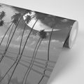 SELF ADHESIVE WALLPAPER BLACK AND WHITE TROPICAL PALM TREES - SELF-ADHESIVE WALLPAPERS - WALLPAPERS