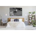 CANVAS PRINT ZEN GARDEN AND STONES IN THE SAND IN BLACK AND WHITE - BLACK AND WHITE PICTURES - PICTURES