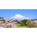 CANVAS PRINT MOUNT FUJI - PICTURES OF NATURE AND LANDSCAPE - PICTURES