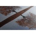CANVAS PRINT STARRY SKY ABOVE A LONELY TREE - PICTURES OF NATURE AND LANDSCAPE - PICTURES