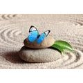 WANDBILD BLAUER SCHMETTERLING IM ZEN-GARTEN - BILDER MIT FENG SHUI-MOTIVEN - BILDER