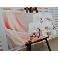 WANDBILD WEISSE ORCHIDEE AUF LEINWAND - BILDER BLUMEN - BILDER