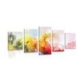 5-PIECE CANVAS PRINT ABSTRACT NATURE - ABSTRACT PICTURES - PICTURES