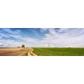 TABLEAU SUR TOILE – PAYSAGE ENCHANTEUR - TABLEAUX DE LA NATURE ET DES PAYSAGES - TABLEAUX