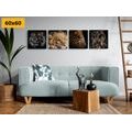 CANVAS PRINT SET WILD ANIMALS - SET OF PICTURES - PICTURES