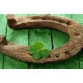 CANVAS PRINT HORSESHOE AND A FOUR-LEAF CLOVER FOR GOOD LUCK - STILL LIFE PICTURES - PICTURES