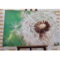 TABLEAU SUR TOILE – GRAINES DE PISSENLIT - TABLEAUX DE FLEURS - TABLEAUX