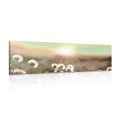 TABLEAU SUR TOILE – PANORAMA DE PRAIRIE FLEURIE - TABLEAUX DE LA NATURE ET DES PAYSAGES - TABLEAUX