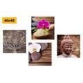 CANVAS PRINT SET FENG SHUI IN A NATURAL DESIGN - SET OF PICTURES - PICTURES