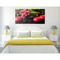 CANVAS PRINT OF A SOOTHING ZEN STILL LIFE - PICTURES FENG SHUI{% if product.category.pathNames[0] != product.category.name %} - PICTURES{% endif %}