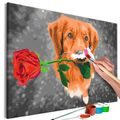 PICTURE PAINTING BY NUMBERS DOG WITH ROSE - PAINTING BY NUMBERS{% if kategorie.adresa_nazvy[0] != zbozi.kategorie.nazev %} - PAINTING BY NUMBERS{% endif %}