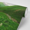 SELF ADHESIVE WALL MURAL GREEN LANDSCAPE - SELF-ADHESIVE WALLPAPERS - WALLPAPERS