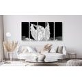 5-PIECE CANVAS PRINT BLACK AND WHITE CARING ANGEL IN THE SLY - BLACK AND WHITE PICTURES - PICTURES