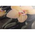 WANDBILD GELBE ORCHIDEE UND ZEN-STEINE - BILDER MIT FENG SHUI-MOTIVEN - BILDER