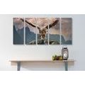 5-PIECE CANVAS PRINT EAGLE WITH SPREAD WINGS OVER THE MOUNTAINS - PICTURES OF ANIMALS - PICTURES