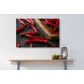 CANVAS PRINT PLATE WITH CHILI PEPPERS - PICTURES OF FOOD AND DRINKS - PICTURES