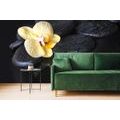 WALL MURAL ZEN STONES WITH A YELLOW ORCHID - WALLPAPERS FENG SHUI - WALLPAPERS