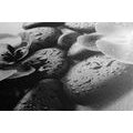 CANVAS PRINT BEAUTIFUL INTERPLAY OF STONES AND ORCHIDS IN BLACK AND WHITE - BLACK AND WHITE PICTURES - PICTURES