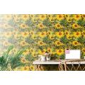 TAPETE SONNENBLUMEN IN FREIER NATUR - TAPETEN MIT BLUMENMOTIVEN - TAPETEN