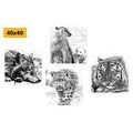 CANVAS PRINT SET ANIMALS IN BLACK AND WHITE WATERCOLOR DESIGN - SET OF PICTURES - PICTURES