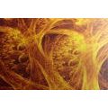 CANVAS PRINT ABSTRACT FOREST - ABSTRACT PICTURES - PICTURES