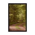 FRAMED POSTER GREEN FOREST - NATURE - POSTERS
