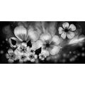 WANDBILD FANTASIE DER BLUMEN IN SCHWARZ-WEISS - SCHWARZ-WEISSE BILDER - BILDER