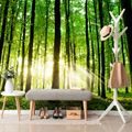 WALL MURAL FRESHNESS OF THE FOREST - WALLPAPERS NATURE - WALLPAPERS