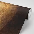 WALL MURAL HEART CARVED INTO A STUMP - WALLPAPERS WITH IMITATION OF WOOD - WALLPAPERS