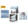 CANVAS PRINT SET WOLF IN A MYSTERIOUS FOREST - SET OF PICTURES - PICTURES