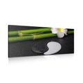 CANVAS PRINT SPA STILL LIFE WITH YIN AND YANG SYMBOL - PICTURES FENG SHUI - PICTURES