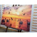 CANVAS PRINT SWANS AT SEA - PICTURES OF ANIMALS{% if product.category.pathNames[0] != product.category.name %} - PICTURES{% endif %}