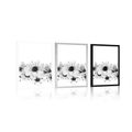 POSTER CHERRY BLOSSOMS IN BLACK AND WHITE - BLACK AND WHITE - POSTERS