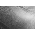 CANVAS PRINT LIGHT IN THE FOREST IN BLACK AND WHITE - BLACK AND WHITE PICTURES - PICTURES