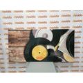 CANVAS PRINT OLD GRAMOPHONE RECORDS - VINTAGE AND RETRO PICTURES - PICTURES