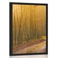 POSTER WEG ZUM WALD - NATUR - POSTER