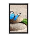 POSTER BLUE BUTTERFLY ON A ZEN STONE - FENG SHUI - POSTERS