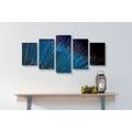 5-PIECE CANVAS PRINT FIBER OPTICS - STILL LIFE PICTURES - PICTURES