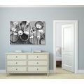 CANVAS PRINT POPPIES ON AN ABSTRACT BACKGROUND IN BLACK AND WHITE - BLACK AND WHITE PICTURES - PICTURES