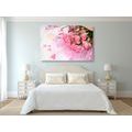 CANVAS PRINT BOUQUET OF PINK ROSES - STILL LIFE PICTURES - PICTURES