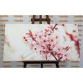 CANVAS PRINT PINK CHERRY BLOSSOMS - PICTURES FLOWERS - PICTURES