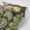 SELF ADHESIVE WALL MURAL LOTUS FLOWER IN THE GARDEN - SELF-ADHESIVE WALLPAPERS - WALLPAPERS