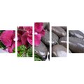 5-PIECE CANVAS PRINT BLOOMING ORCHID AND WELLNESS STONES - PICTURES FENG SHUI - PICTURES