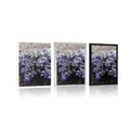 POSTER BLUMENSTRAUSS MIT LAVENDEL - BLUMEN - POSTER