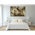 CANVAS PRINT AFRICAN LION IN SEPIA - BLACK AND WHITE PICTURES - PICTURES