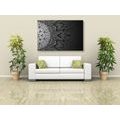 CANVAS PRINT MANDALA IN BLACK AND WHITE - BLACK AND WHITE PICTURES - PICTURES