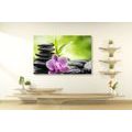 CANVAS PRINT MEDITATIVE ZEN COMPOSITION - PICTURES FENG SHUI - PICTURES